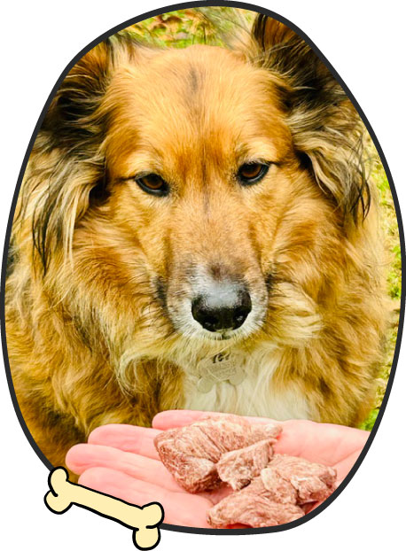 Puro Lio - Snack Saludables